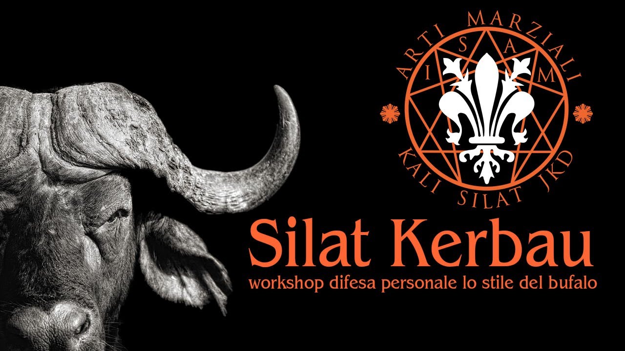 Silat Karbau - Isam Firenze