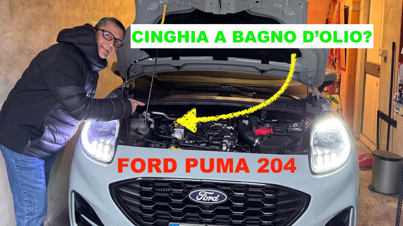 FORD PUMA 2024 CINGHIA A BAGNO D'OLIO? MAPPE & USB