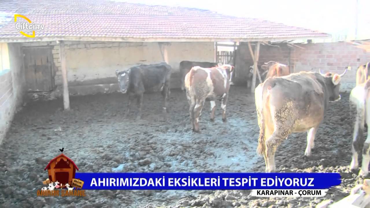 Ahırım Şahane/4.Bölüm Çorum - Karapınar