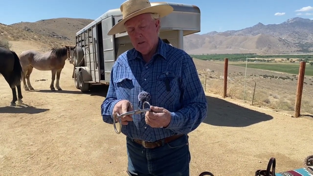How the Missing Link Snaffle Works