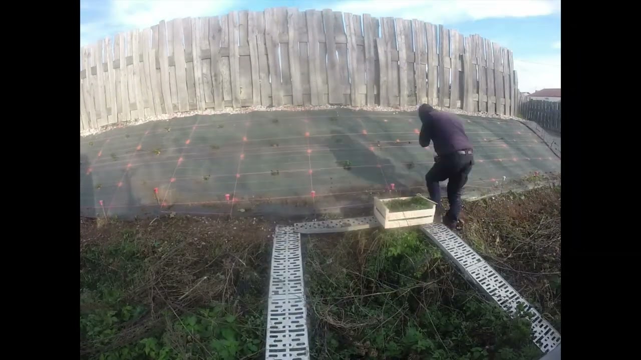 Aménagement d'un talus en millepertuis.