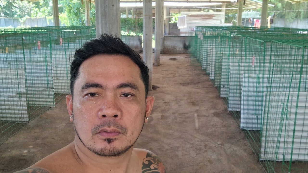 PASILIP SA BREEDING AREA NI KAKOSA!