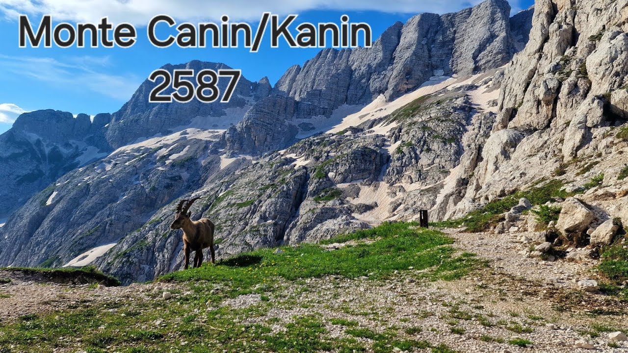 Monte Canin/Kanin 2587m #mountains #berge #italy #slovenia #hiking
