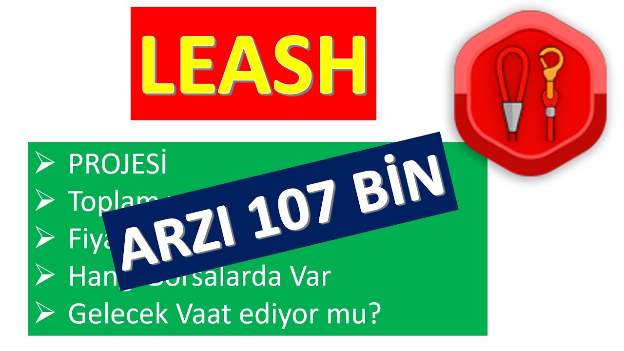 LEASH TOKEN NEDİR? LEASH TOKEN ARZI NE KADAR? DOGE KİLLER?