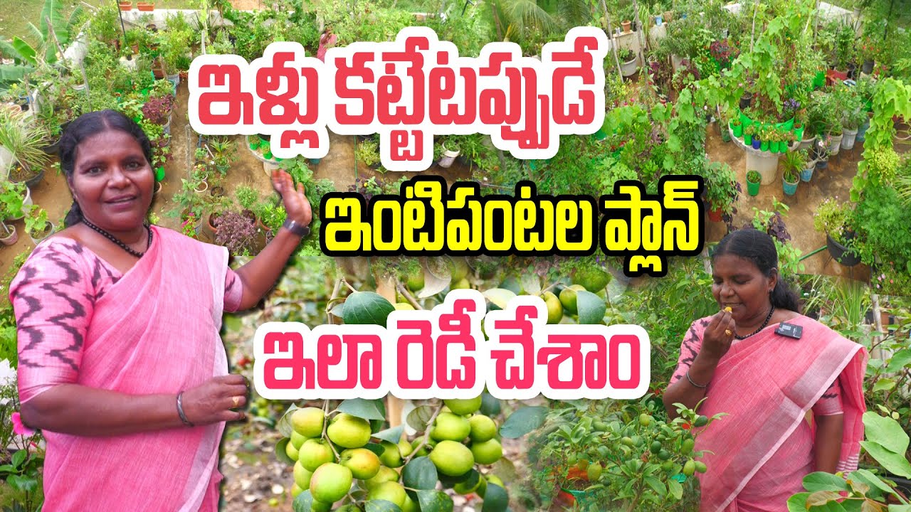 250 గజాల్లో ఫుడ్ గార్డెన్ | Kousar Jhon