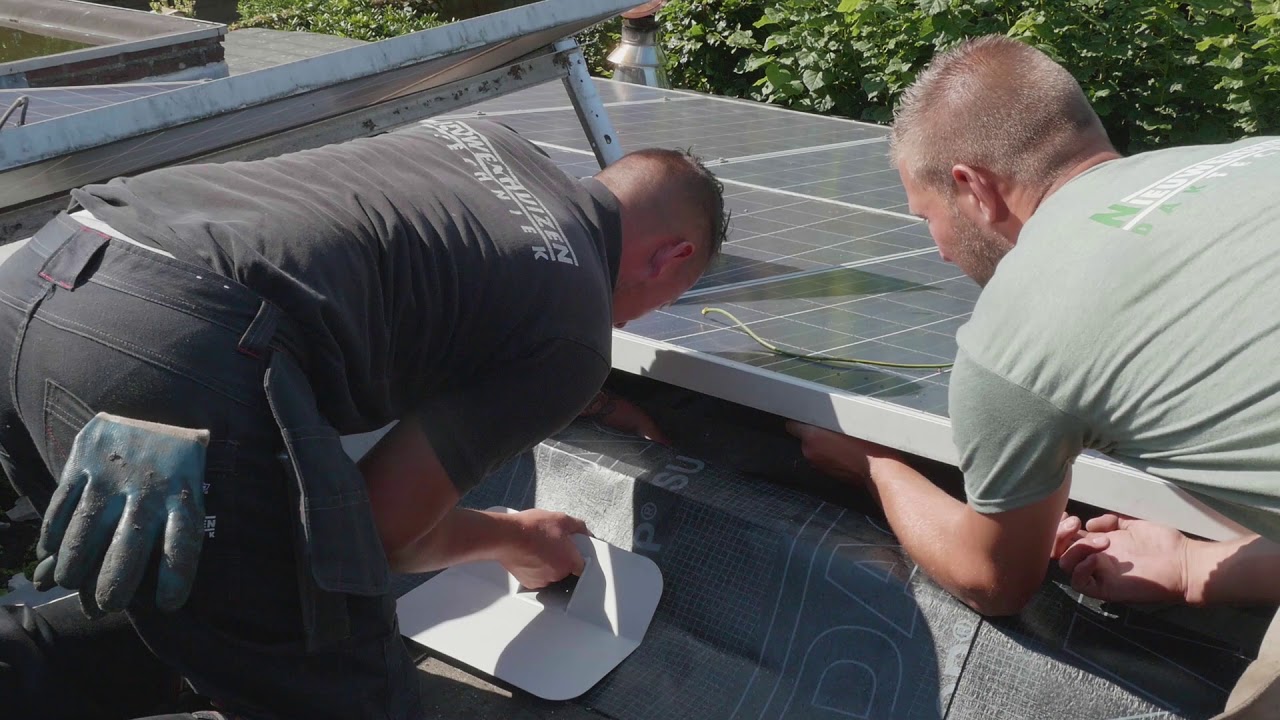 Dakbedekking renoveren op een bestaand dak met een groendak/sedum, door Nieuwenhuizen DAKtechniek.
