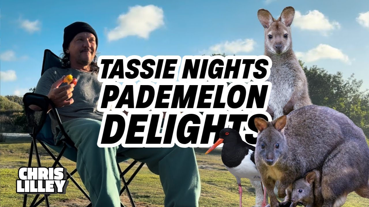 Tassie Nights Pademelon Delights - Tasmania