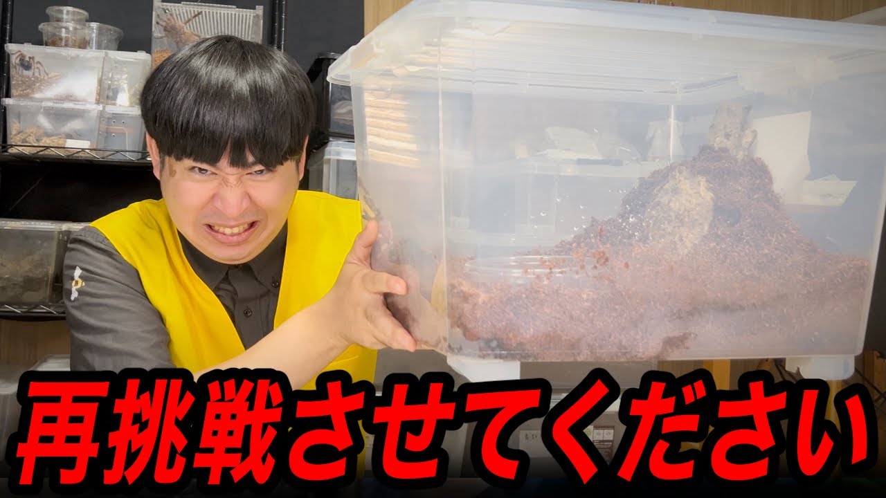 タランチュラのトラウマ克服します！！！