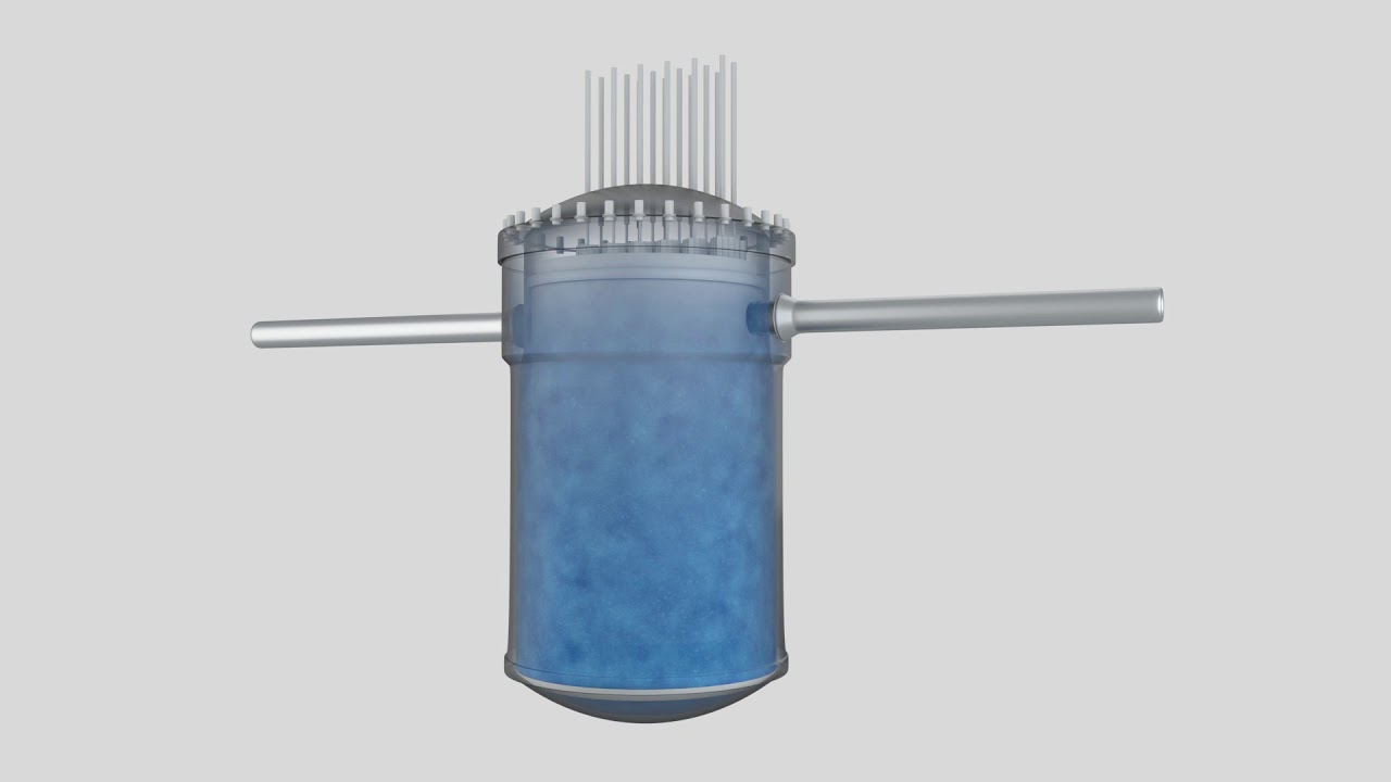 Druckwasserreaktor Reaktor