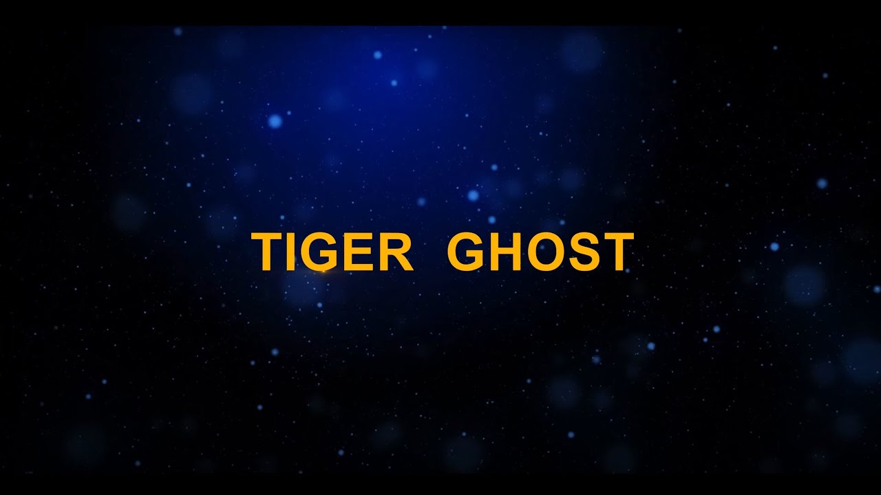 Metin2 Tiger Ghost International Server