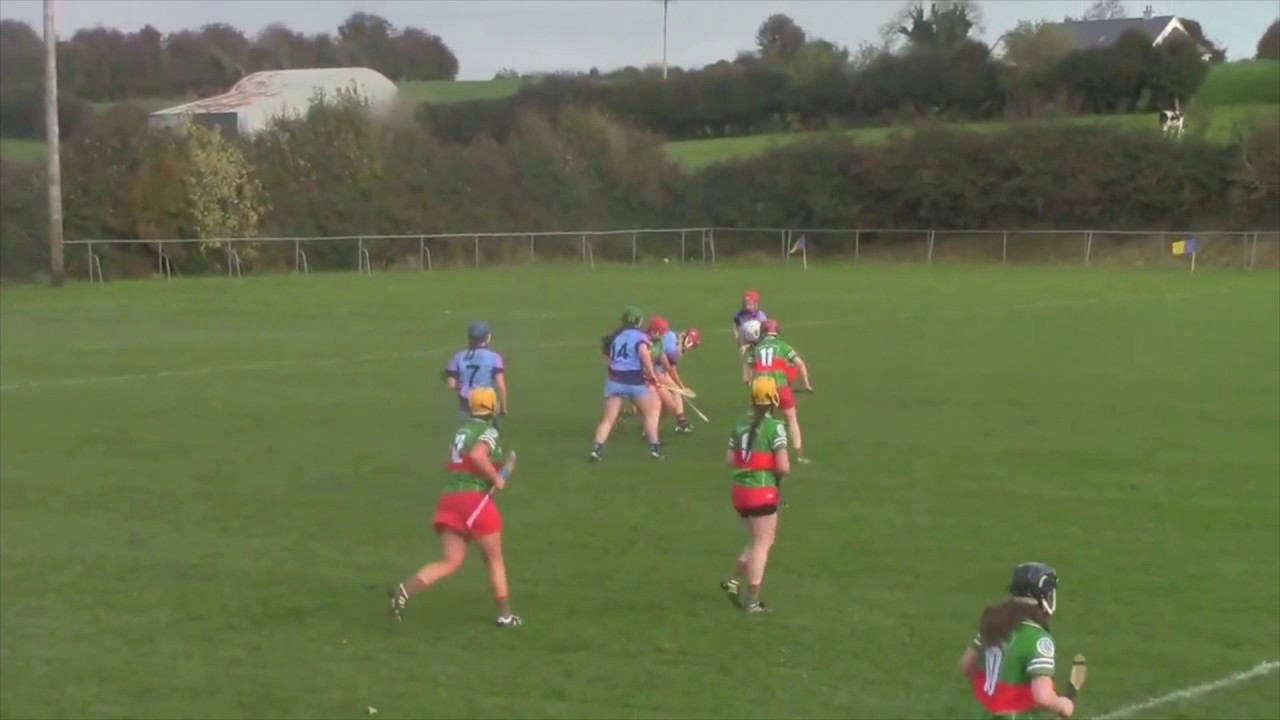 Nenagh Eire Og Tipperary Intermediate Camogie Champions 2016