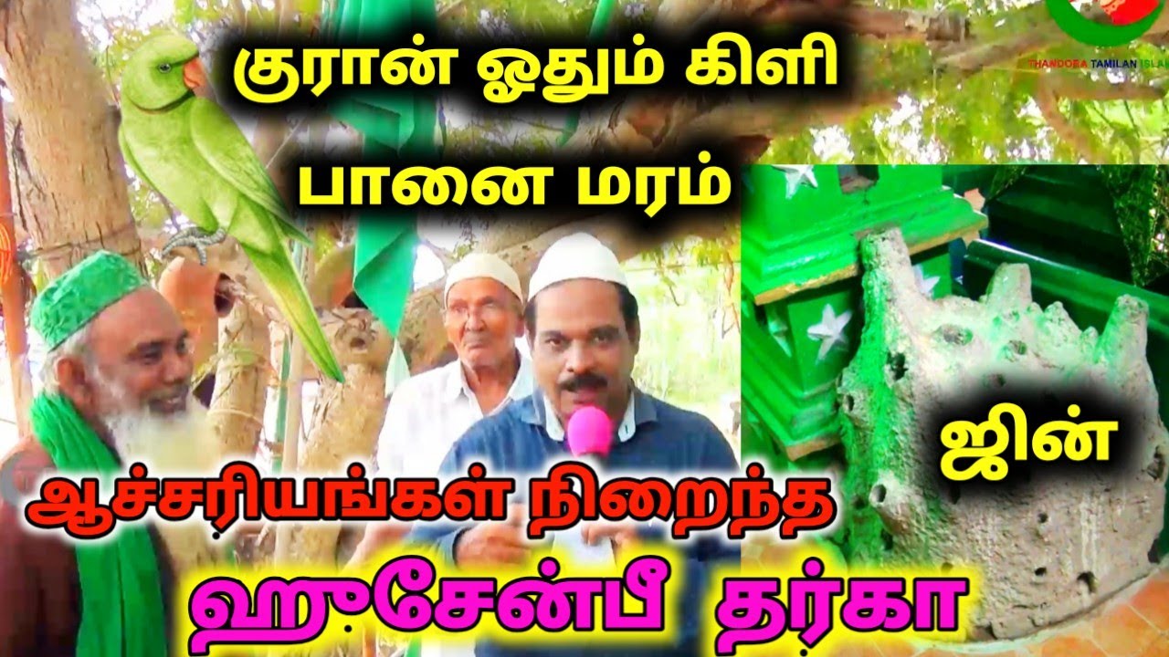 பானை மரம், பாம்பு வடிவில் ஜின், குரான் வாசிக்கும் கிளி | ஆச்சரியங்கள் நிறைந்த  Hussainbi Dargah|