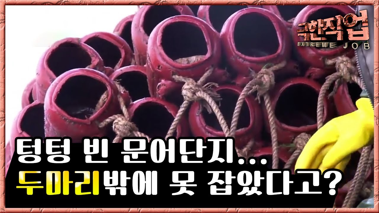 극한직업 - Extreme JOB_전통 문어 잡이_#002