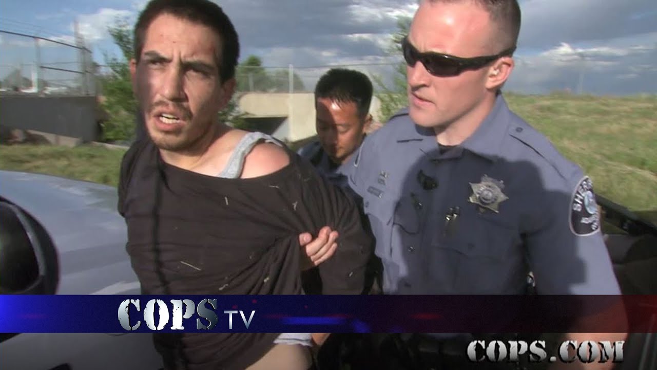 The Road Less Traveled, FTO Travis Wilson, COPS TV SHOW