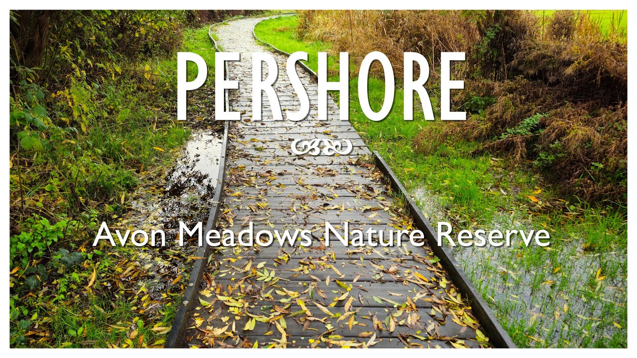 Pershore Nature Reserve Circular Walk | Worcestershire | 4K