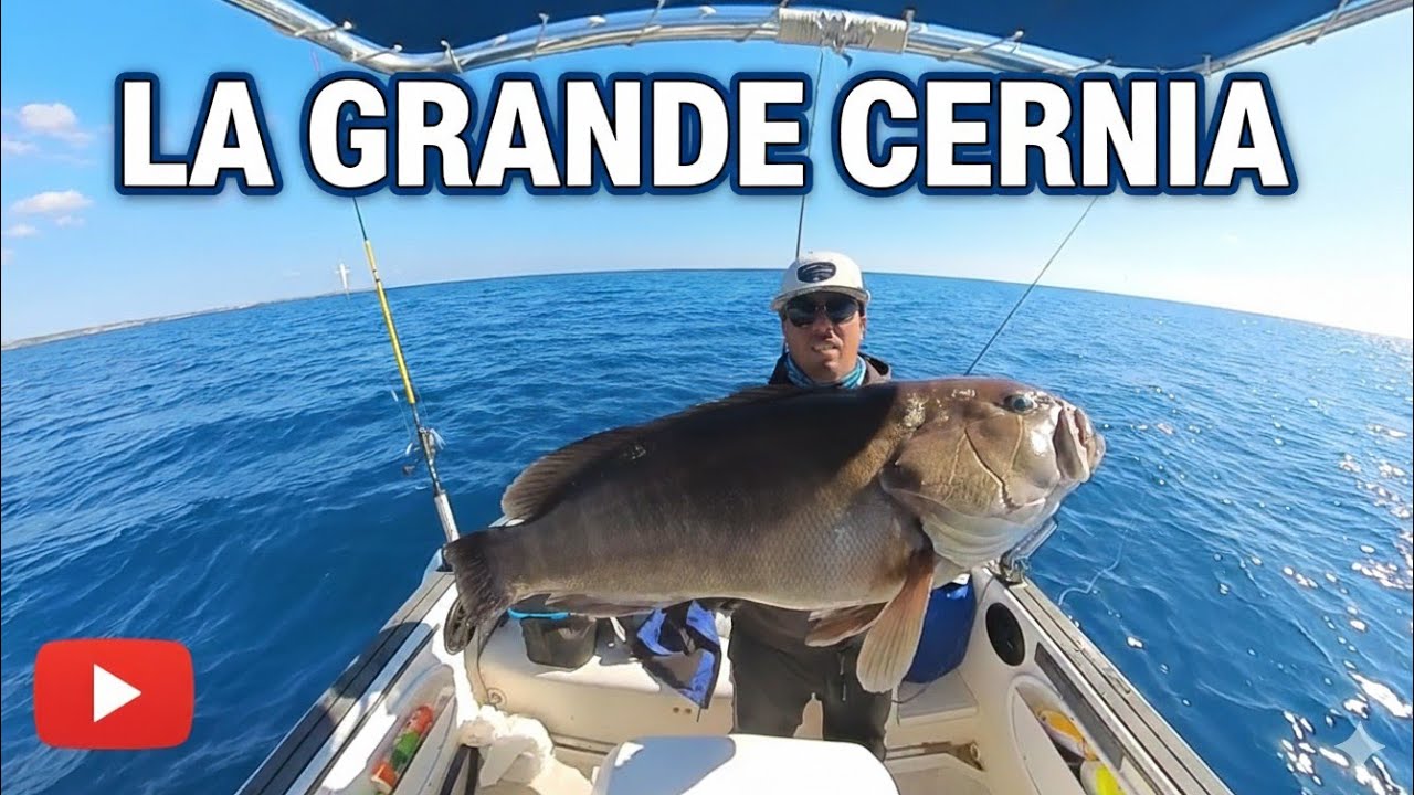 La GRANDE CERNIA , tra VENTO ed ESCHE MORTE