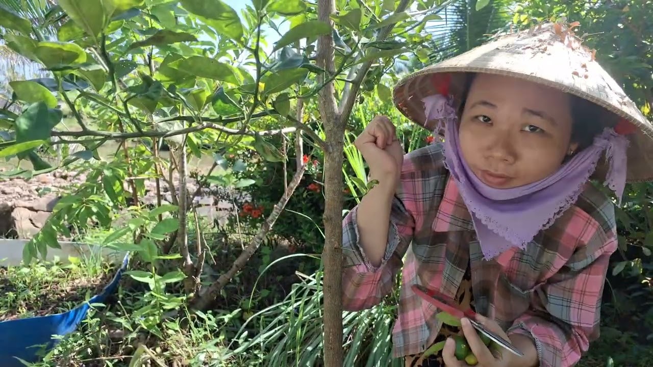 Có Ếch Làm Gỏi Ăn Ngon Như Thịt Gà | kiều diễm 