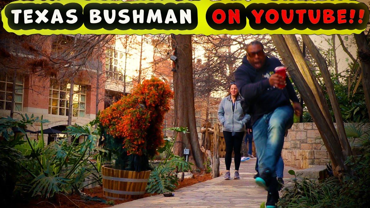 Bushman Prank: The Fallout - 2026!!