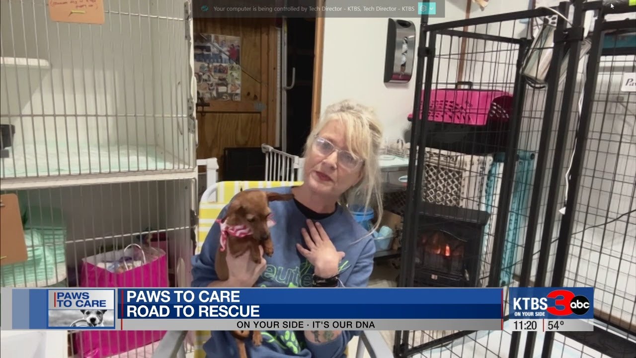 Paws to Care: Road to the Rescue