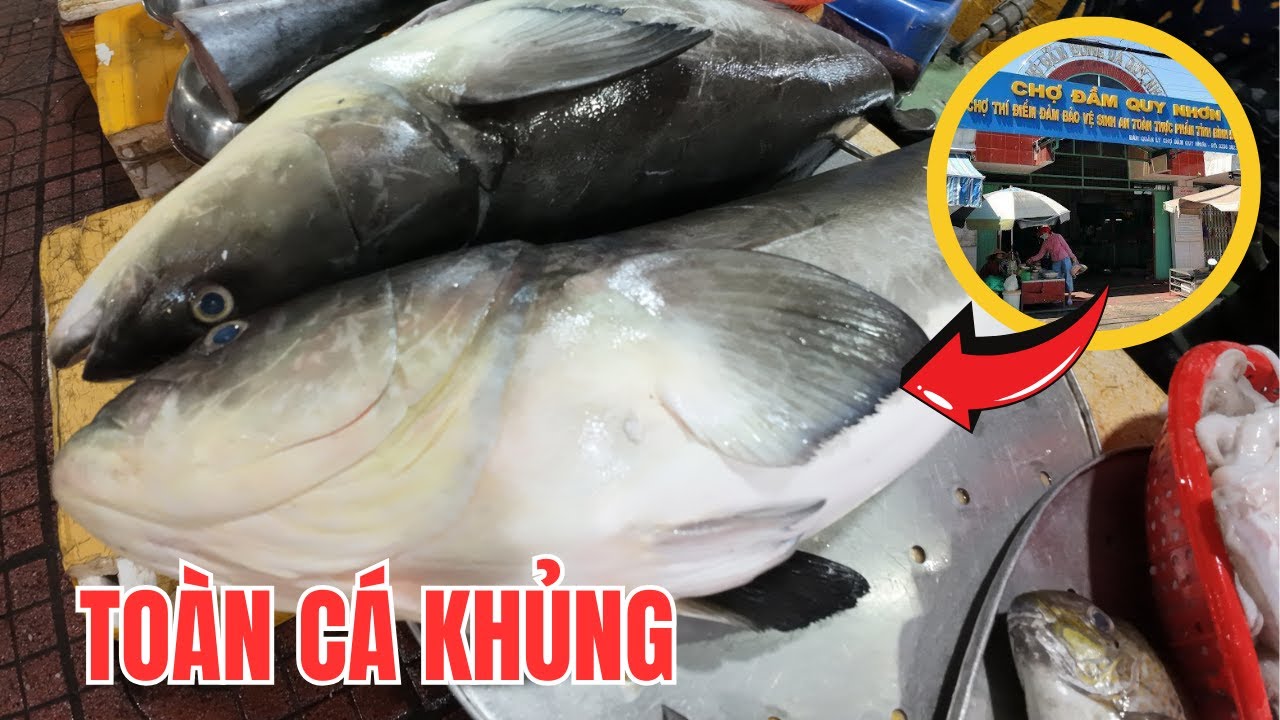 Chợ Đầm Quy Nhơn - Chợ Hải sản lớn nhất thành phố biển Quy Nhơn Bình Định