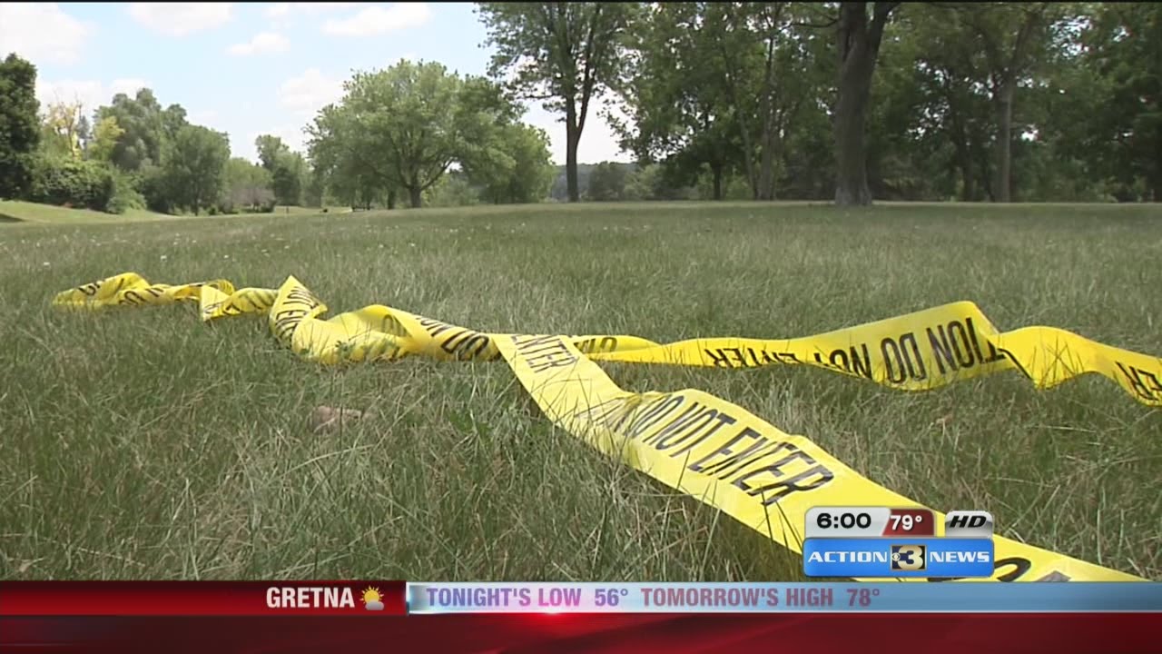 Teen Formally Charged in Roberts Park Incident