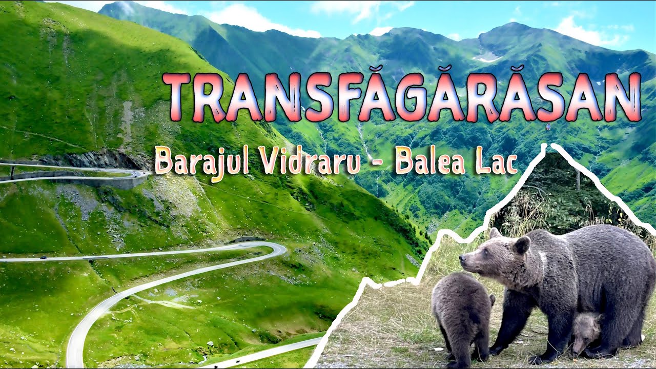 Transfagarasan - Barajul Vidraru - Balea Lac - Ursii cersetori -  Romania 4K