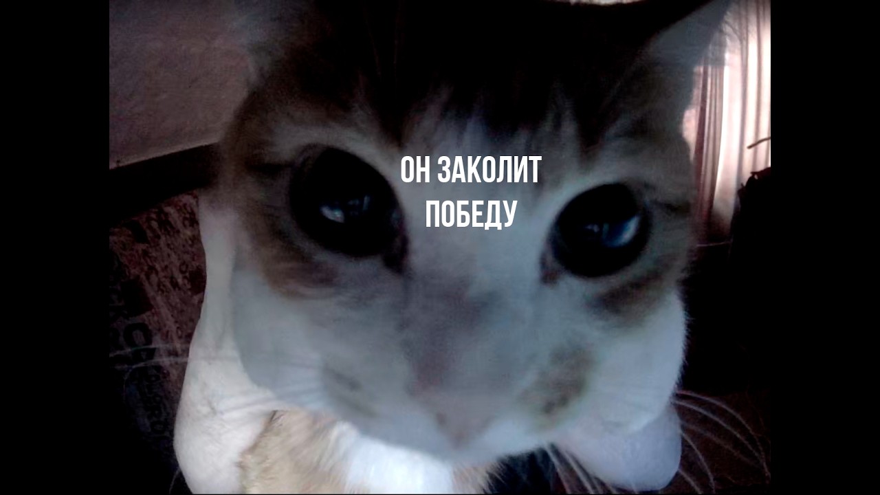 HIGHLIGHTS #7 / СОБРАЛ КС В FAITH / STALCRAFT X / #stalcraftx