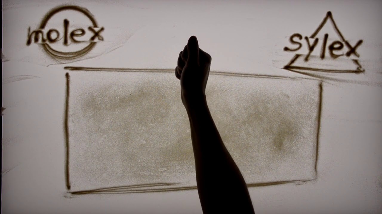 25th Sylex Anniversary - Sand Art by Volha Safronava