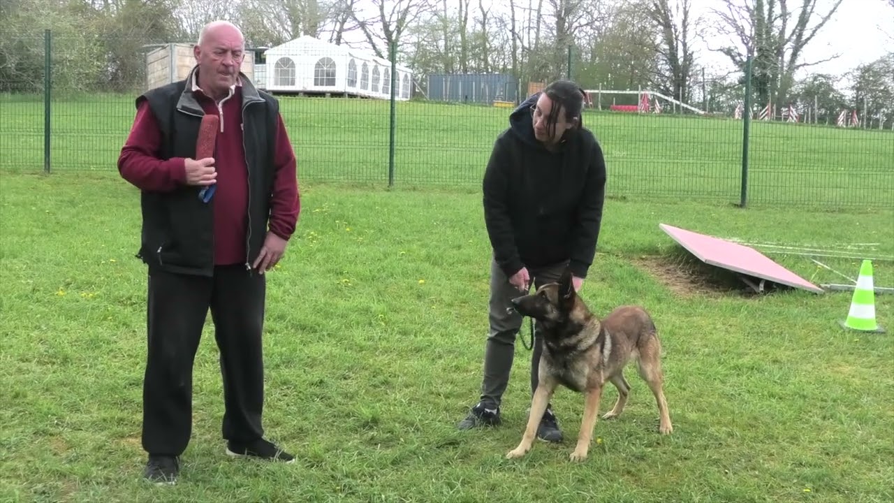 Centre Hervé Pupier - Formation Educateur canin
