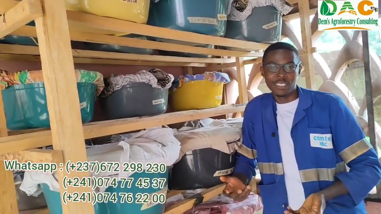 CAMEROUN : Les 3/4 des personnes formées en élevage des hannetons/foss abandonnent à cause de ceci..