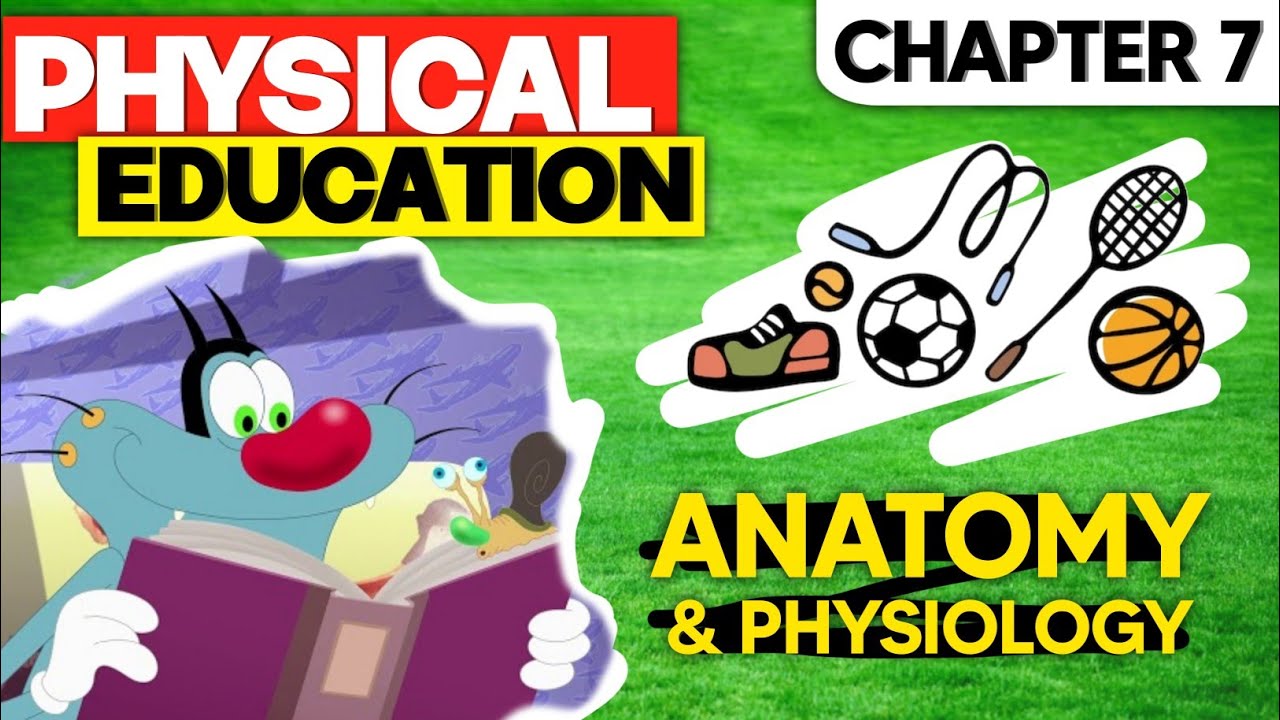 Class 11 Physical Education Chapter 7 |Anatomy & Physiology | Animated