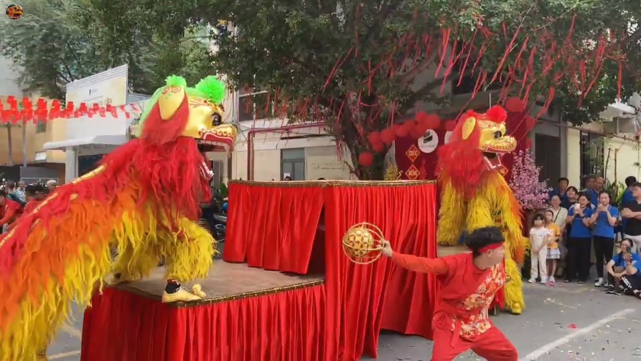 舞狮子 2026年 越南仁义堂龙狮团