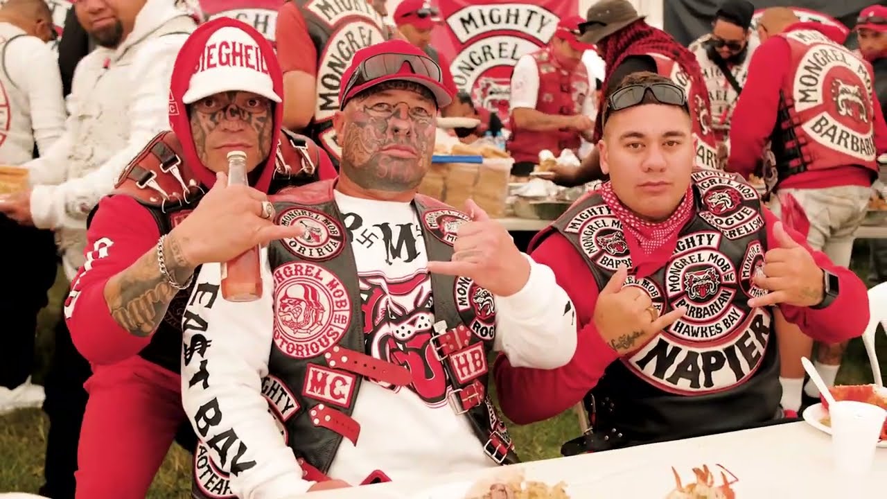 event video| contact me for video editing services mail: ahstudio3020@gmail.com