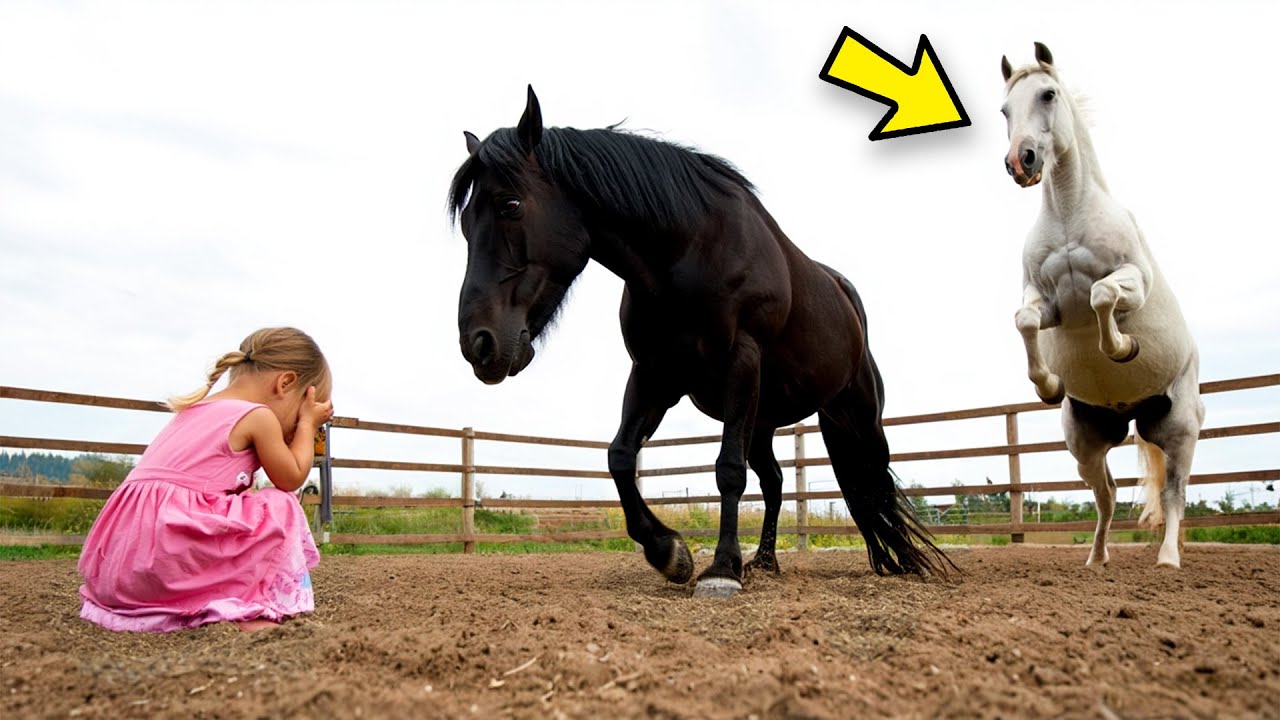 HOMME RICHE a mis sa FILLE AUTISTE dans l'ARÈNE du CHEVAL le plus FÉROCE, mais ce qui ARRIVE…