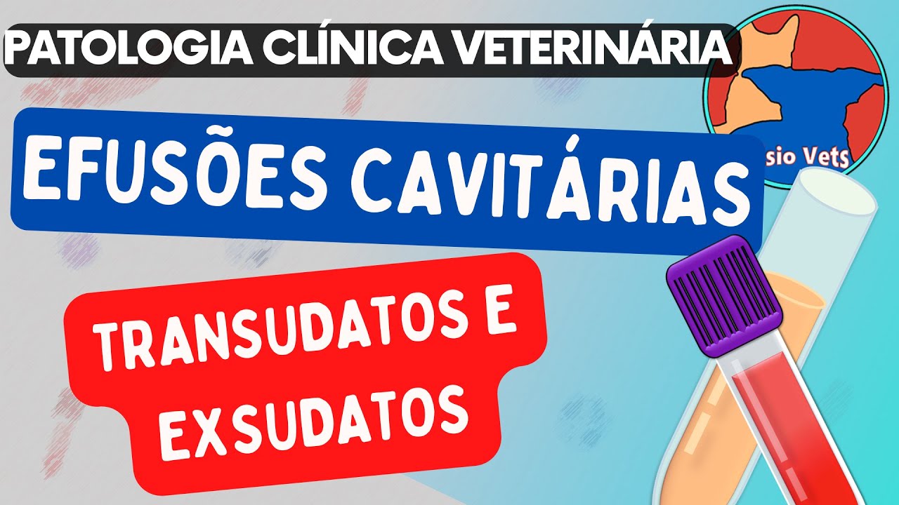 Interpretação de exames laboratoriais| Efusões cavitarias - patologia clínica veterinária