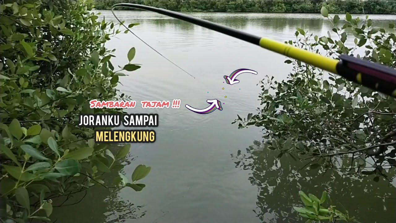 gokil!!! sabaran nya memang kuat|| bikin joran tegek ku sampai melengkung  @walangilir