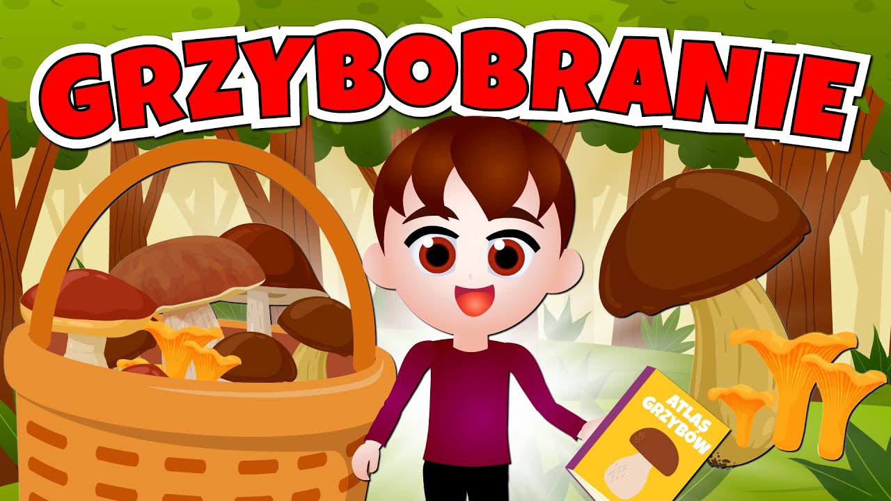 Kazio i GRZYBOBRANIE film edukacyjny dla dzieci 🍄 Jak zbierać grzyby? 🍄 Jesień dla dzieci
