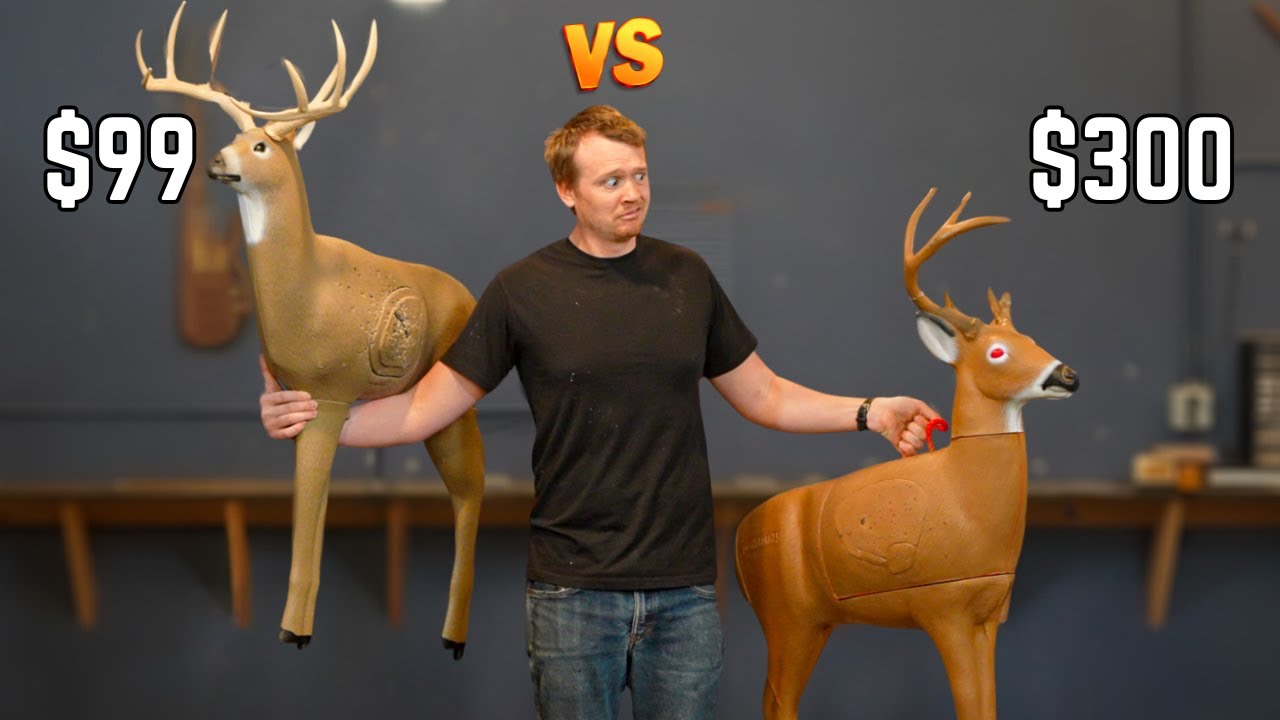 The Truth About Cheap VS Expensive 3d Targets