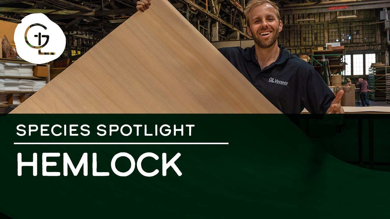 Quarter Cut Hemlock Wood Veneer Sheets
