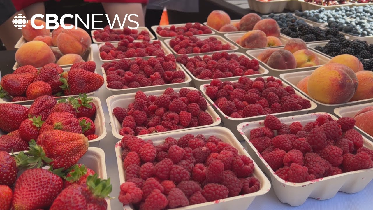 Abbotsford Berry Festival celebrates 42 years of farming heritage