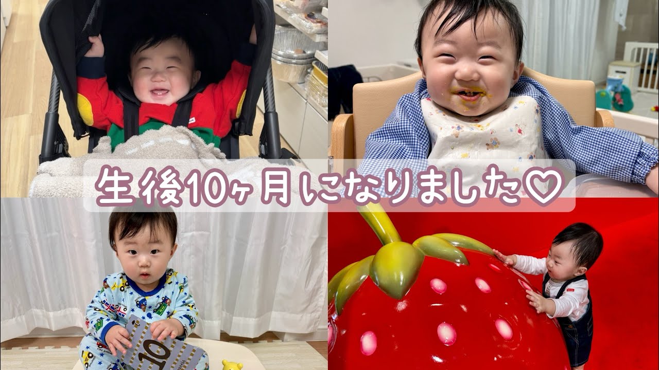 【生後10ヶ月】ますます好奇心旺盛になってきました🩵