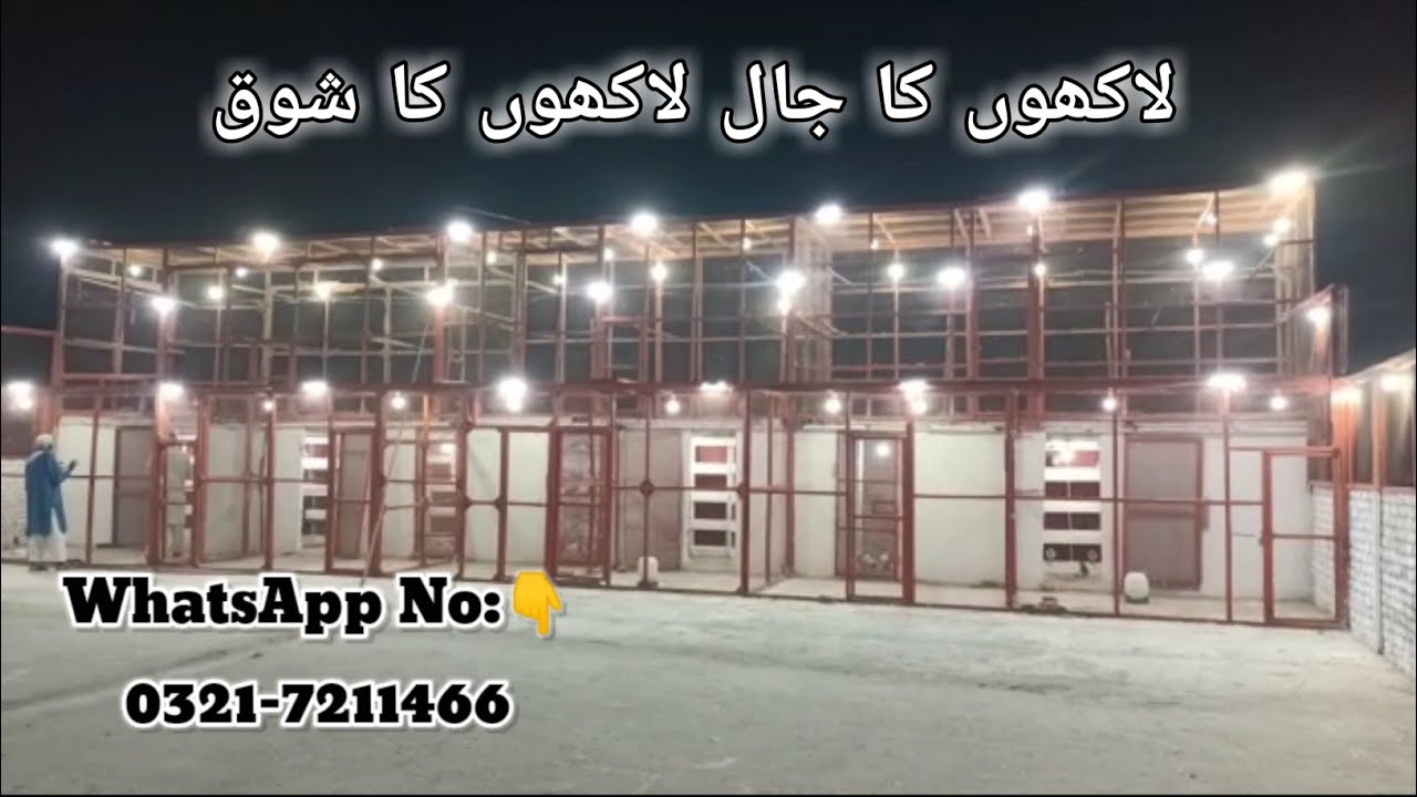 All Setup Teddy Breeder Ram Puriye Chapray Kabootar Ka Shauk  | 9 Lakh ka Cage |#RustamPigeonPoint