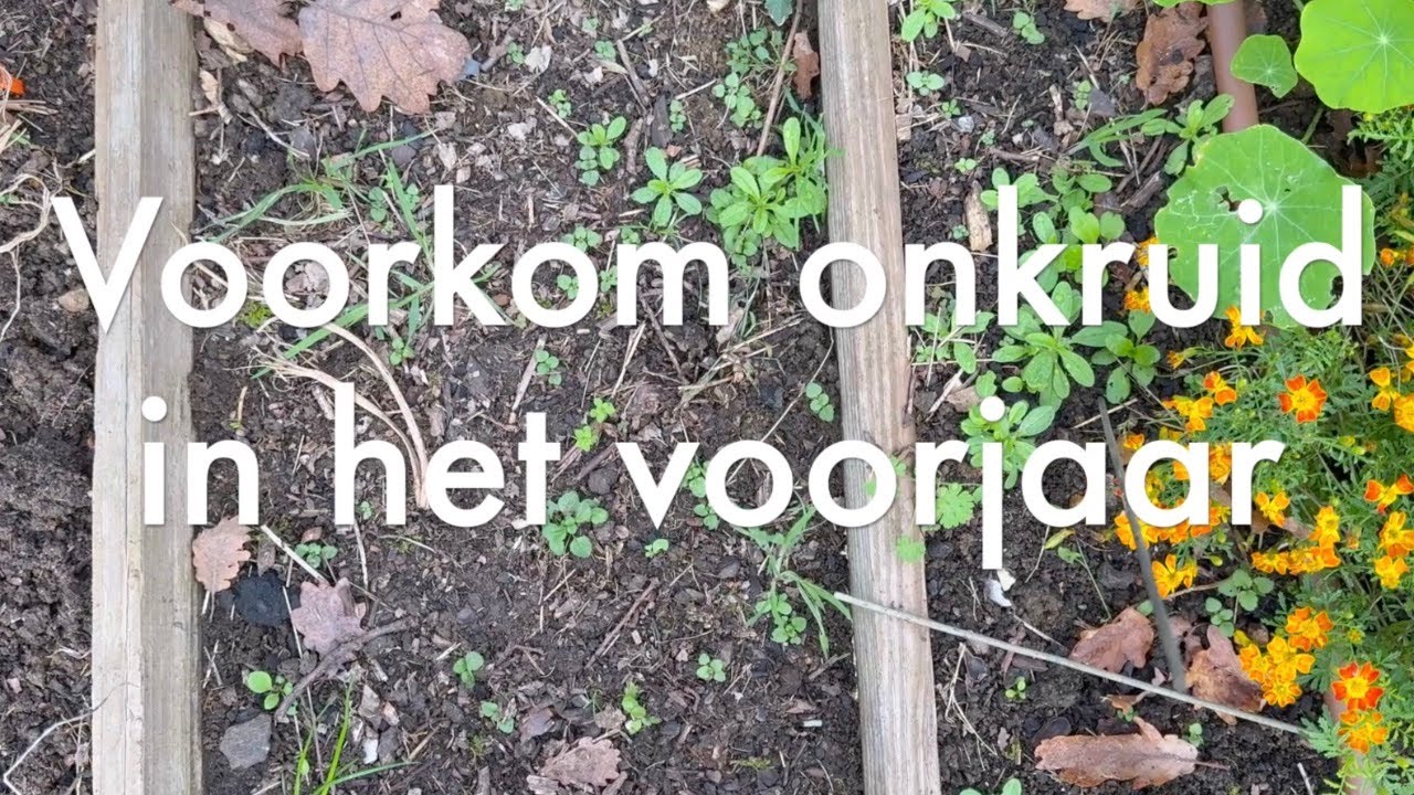 Ini's Moestuin #209- Voorkom onkruid in het voorjaar, extra anti slakken tips & een verrassing!
