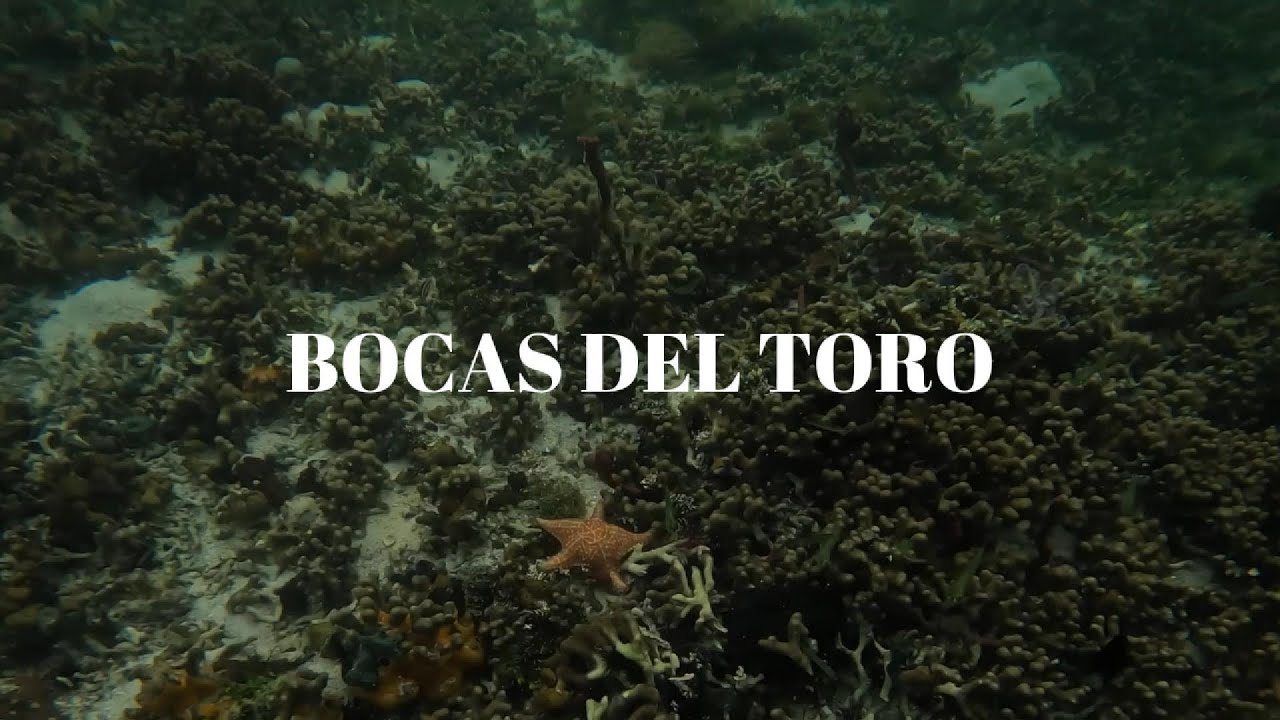 Snorkel, mariscos y playa!!!