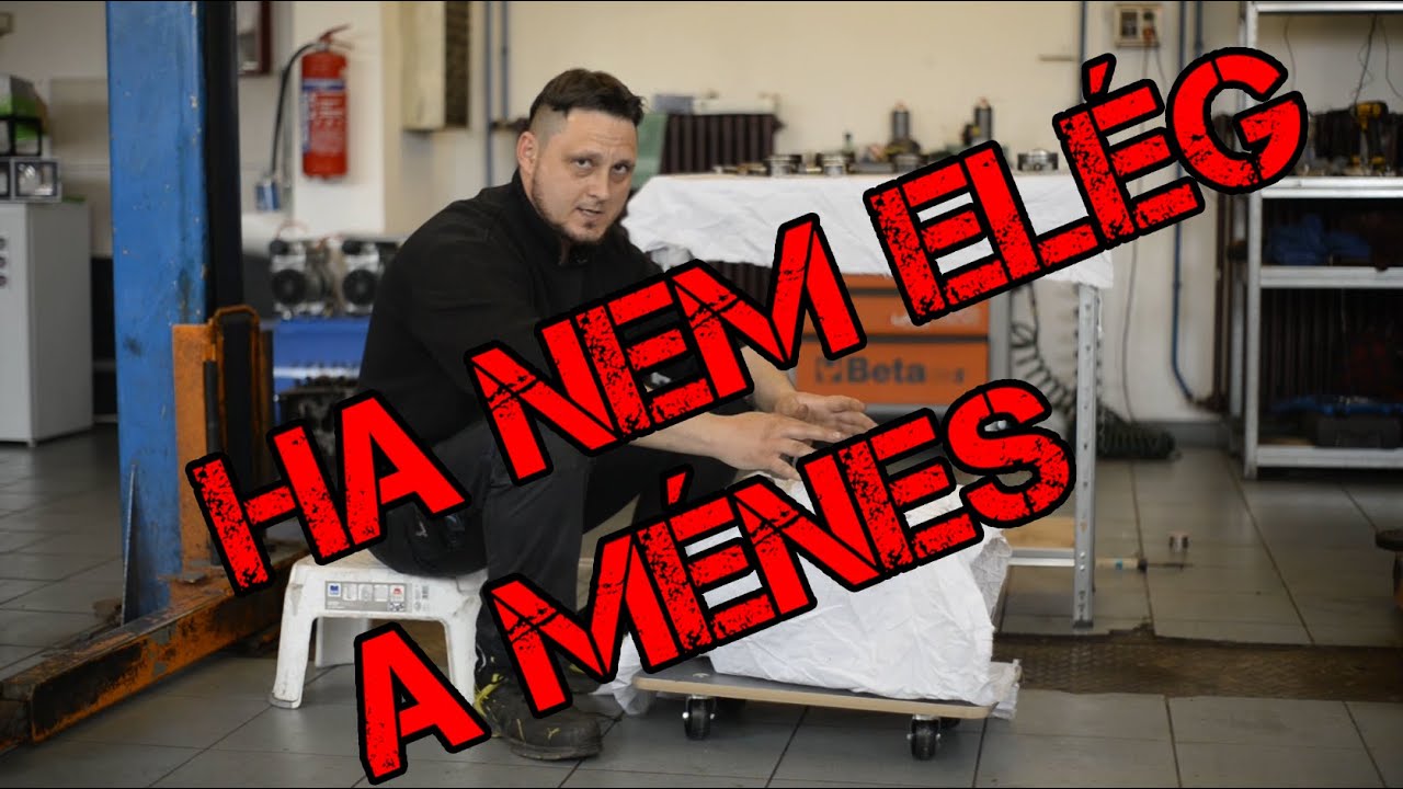 TFSi Frász vol. 2 - Ha nem elég a ménes
