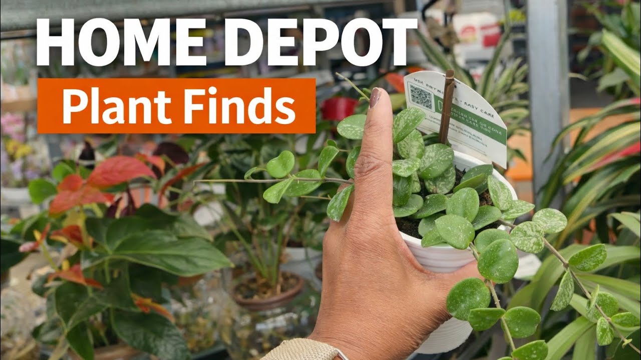 Another trip to Home Depot 