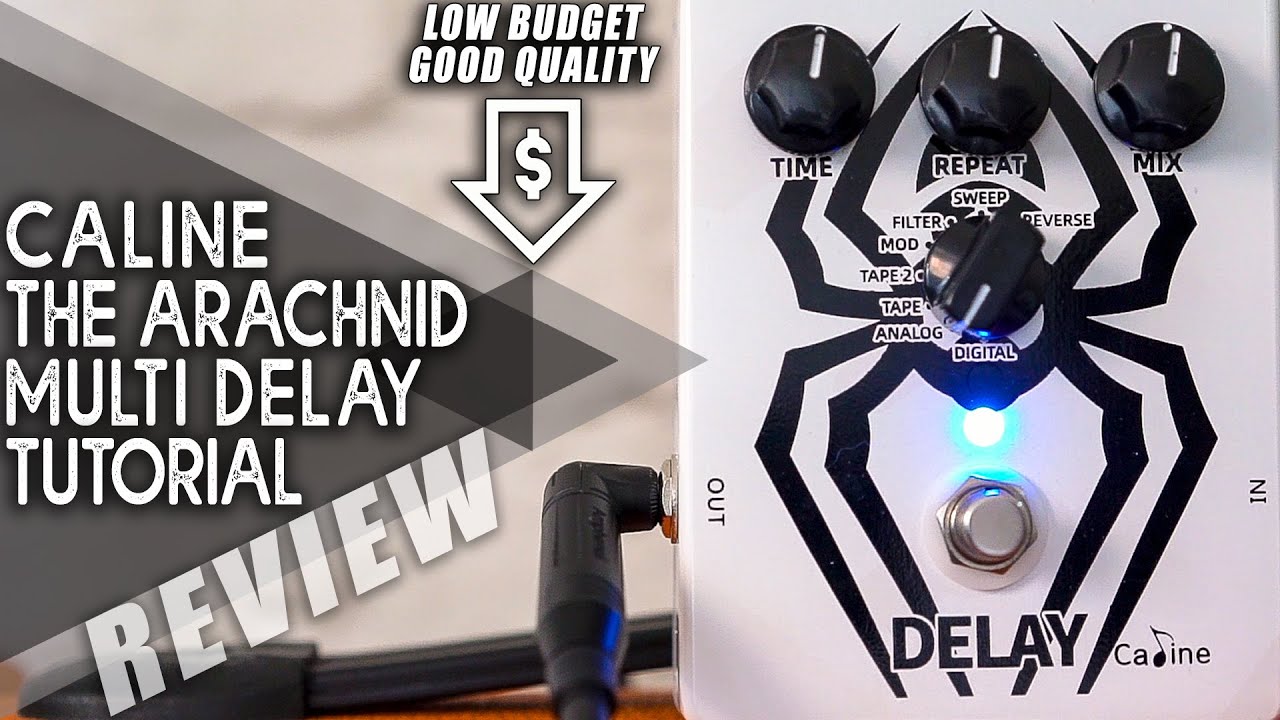 AWESOME Budget PEDAL | Caline CP-86 The Arachnid Multi DELAY | VIDEO REVIEW [NO TALK]