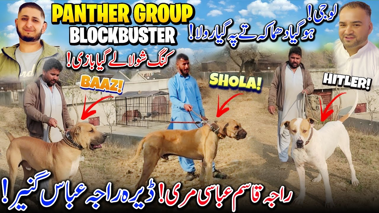Panther Group Blockbuster 😍 King Shola Le Gaya Baazi | Dera Raja Abbas Ganair | Full Vlog