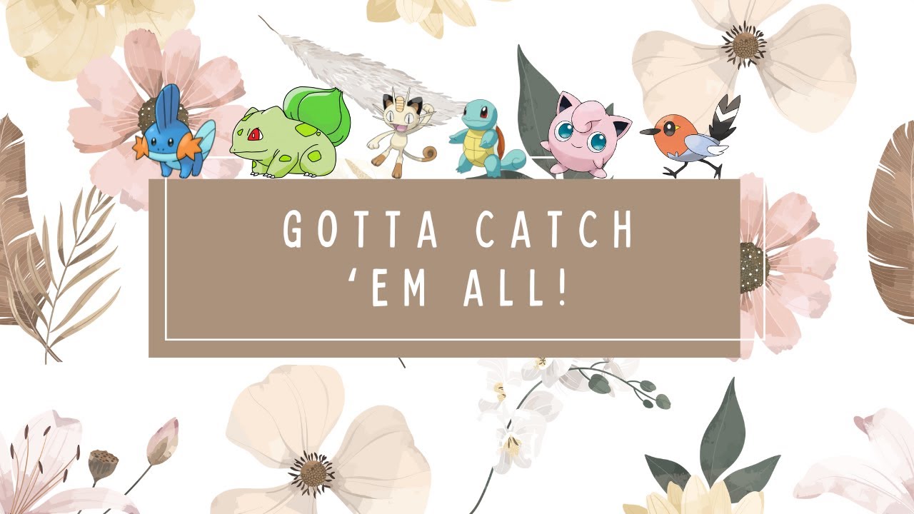 🍃 [FR/EN] - Ma collection de cartes Pokémon/My Pokémon cards collection (sans voix/no commentary) 🍃