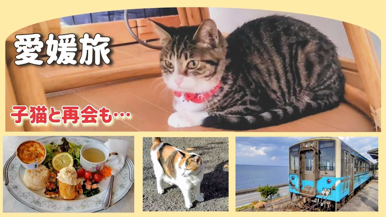 【ねこ宿】猫が暮らす松楽旅館を目指して泊まれる喫茶店ポパイ/下灘駅の旅
